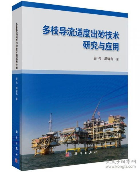 多枝導(dǎo)流適度出砂技術(shù)研究與應(yīng)用