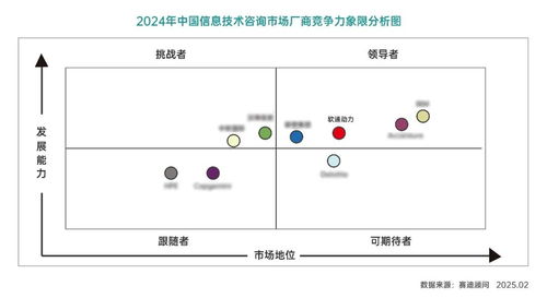 top1 軟通動(dòng)力蟬聯(lián)2024年中國it服務(wù)市場及it咨詢國內(nèi)廠商榜首